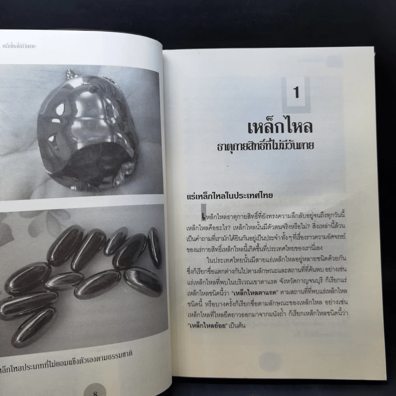 เหล็กไหลไม่มีวันตาย - อ.บูรพา ผดุงไทย รูปที่ 10