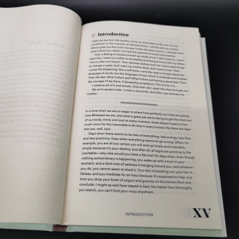 The Handbook for Bad Days - Eveline Helmink รูปที่ 13