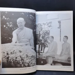 ก่อนจะเกิดใหม่ในเพศสมณะ - ตกกสรโณ ภิกขุ รูปที่ 13
