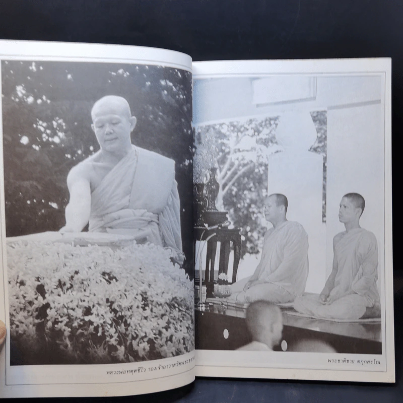 ก่อนจะเกิดใหม่ในเพศสมณะ - ตกกสรโณ ภิกขุ รูปที่ 13