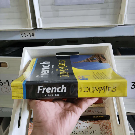French All-In-One for Dummies รูปที่ 2