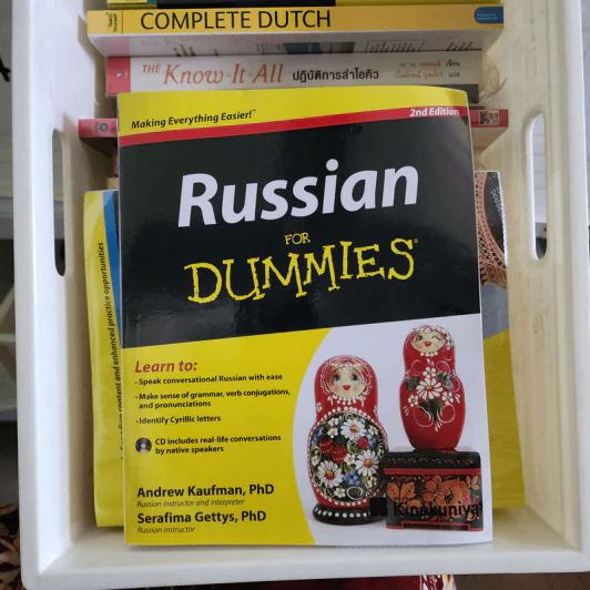 Russian for Dummies รูปที่ 1