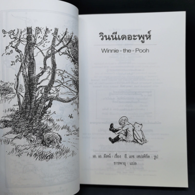 วินนี่เดอะพูห์ Winnie the Pooh + บ้านมุมพูห์ - เอ.เอ.มิลน์ รูปที่ 8