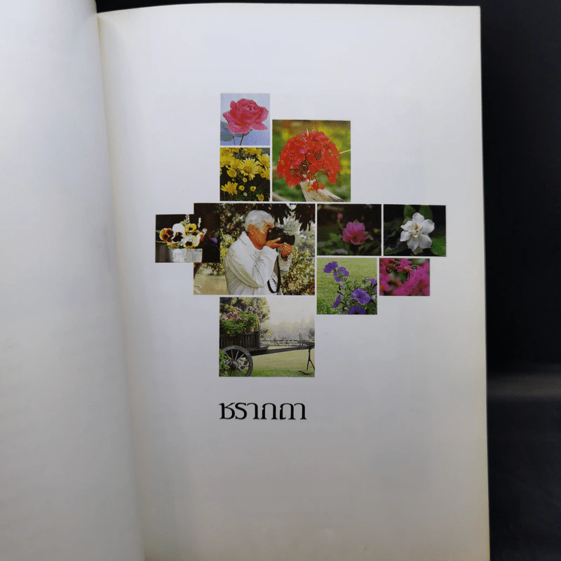 ชรากถา - ม.ร.ว.คึกฤทธิ์ ปราโมช รูปที่ 9