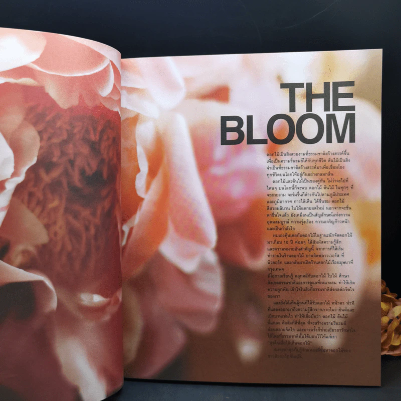 Blooming  Journey in New York City - ปนิธาน ทองสถิตย์ รูปที่ 12