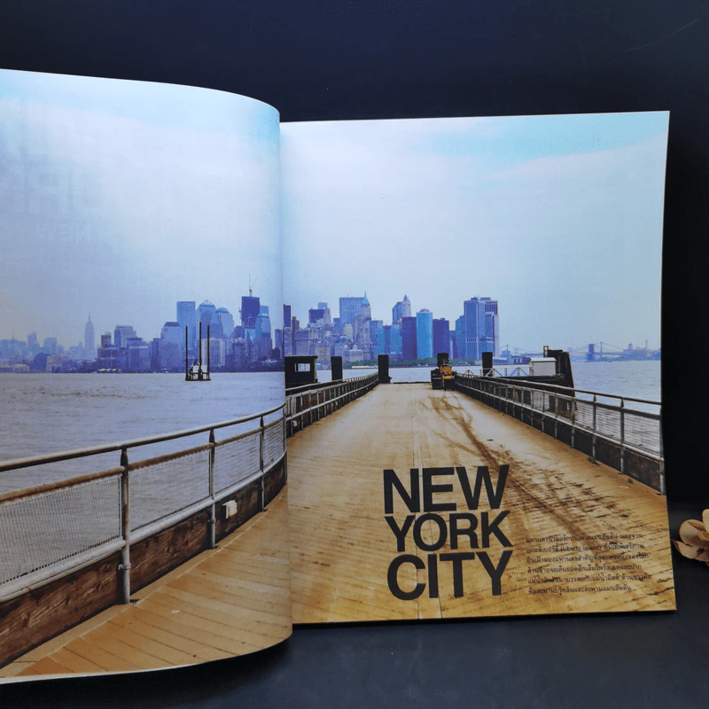 Blooming  Journey in New York City - ปนิธาน ทองสถิตย์ รูปที่ 8