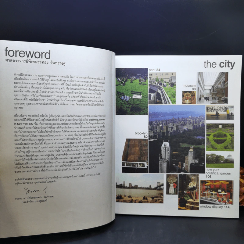 Blooming  Journey in New York City - ปนิธาน ทองสถิตย์ รูปที่ 9