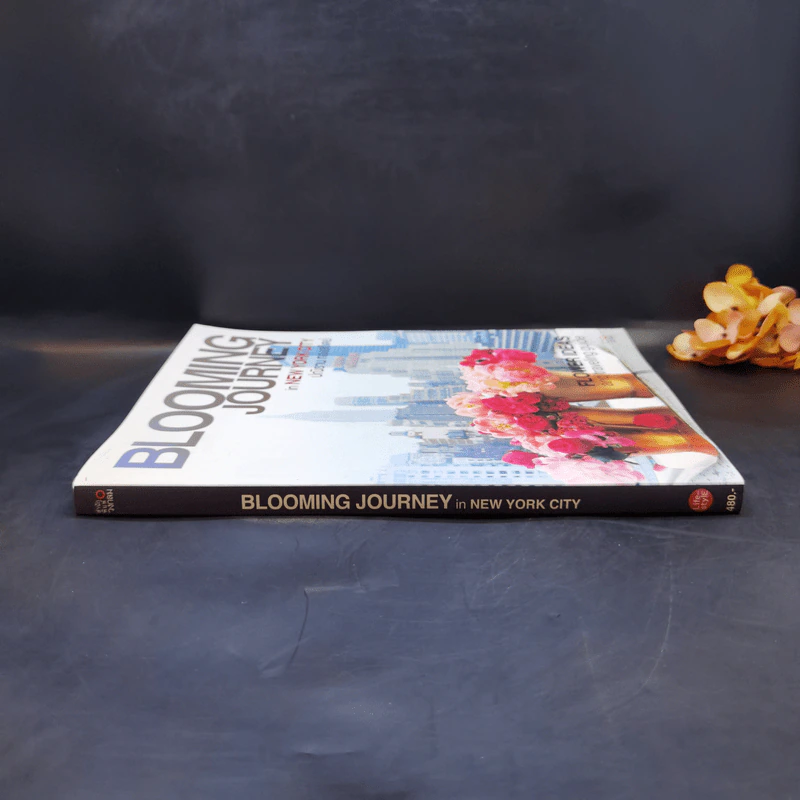 Blooming  Journey in New York City - ปนิธาน ทองสถิตย์ รูปที่ 3