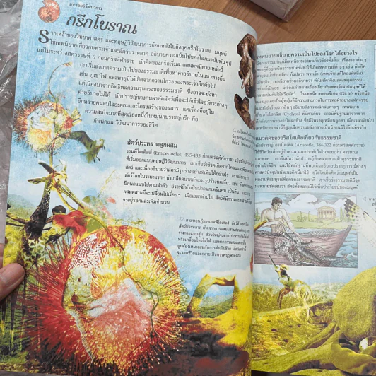 วิวัฒนาการ Evolution - Stephen Webster รูปที่ 5