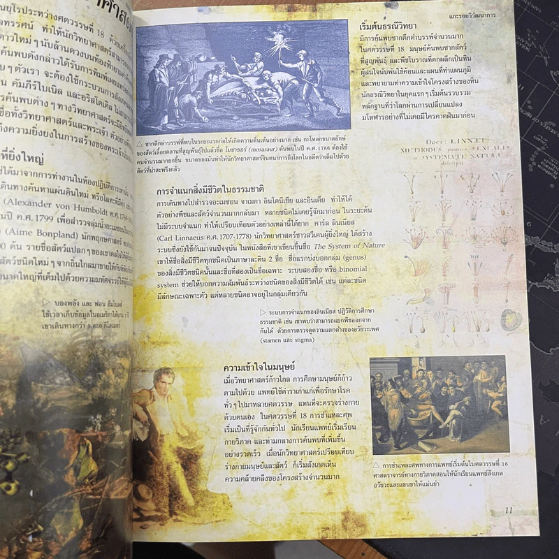 วิวัฒนาการ Evolution - Stephen Webster รูปที่ 6