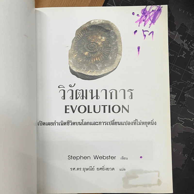 วิวัฒนาการ Evolution - Stephen Webster รูปที่ 3