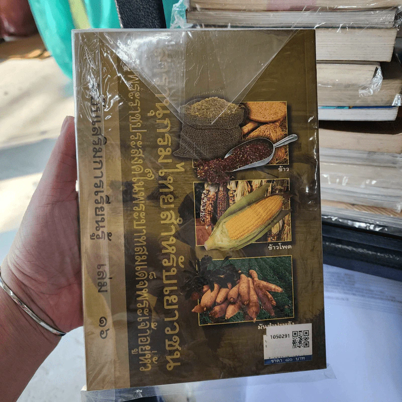 สารานุกรมไทยสำหรับเยาวชน เล่ม 16 รูปที่ 2