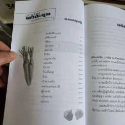 แกว่งปาก (กา) หาตะหลิว - วาณิช จรุงกิจอนันต์ รูปที่ 8