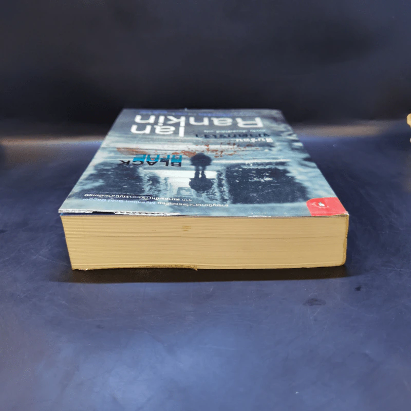 สืบซ้อนฆาตกรเงา - Ian Rankin รูปที่ 6
