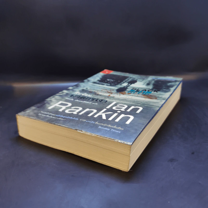 สืบซ้อนฆาตกรเงา - Ian Rankin รูปที่ 7