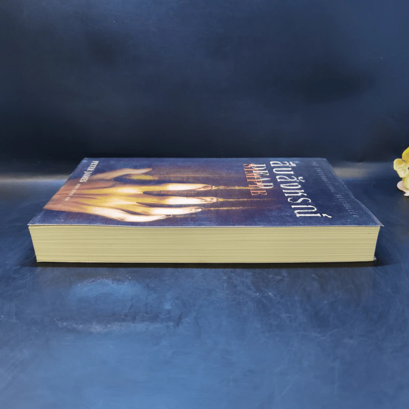 สืบสังหรณ์ Dead Simple - Peter James รูปที่ 5