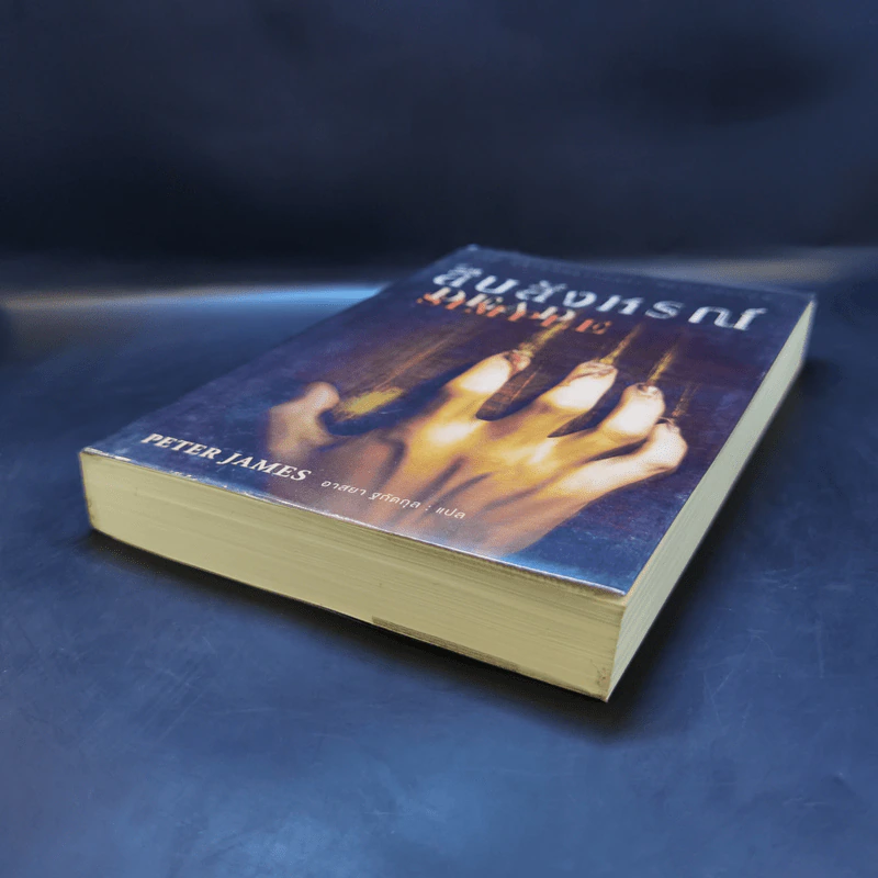 สืบสังหรณ์ Dead Simple - Peter James รูปที่ 7