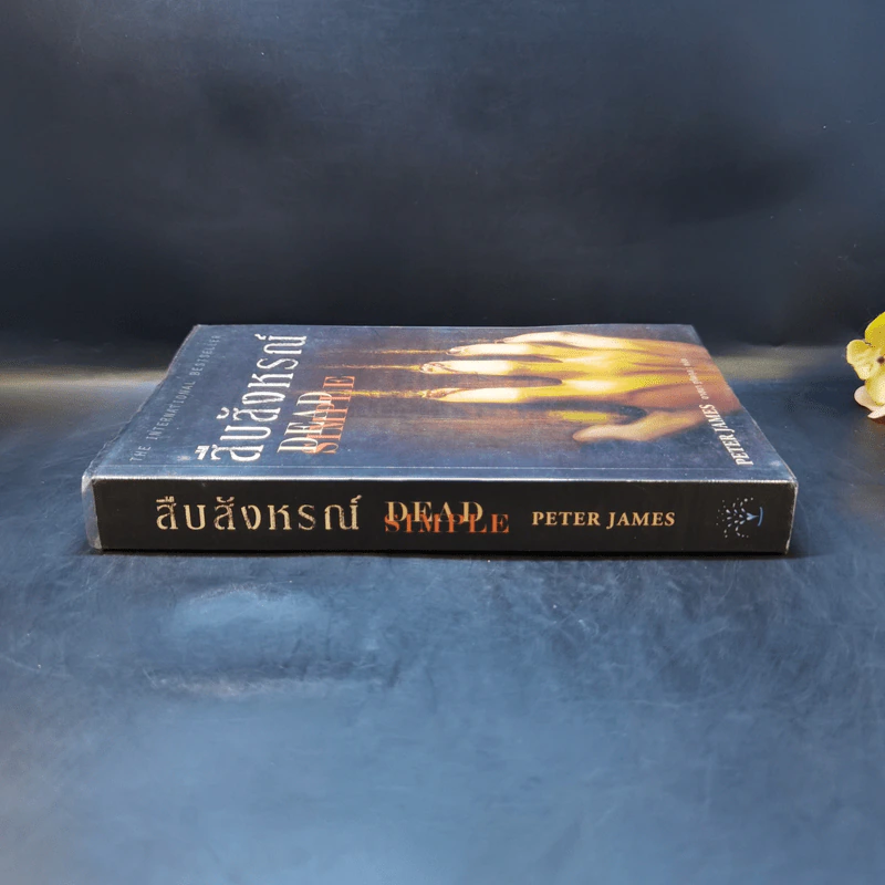 สืบสังหรณ์ Dead Simple - Peter James รูปที่ 3