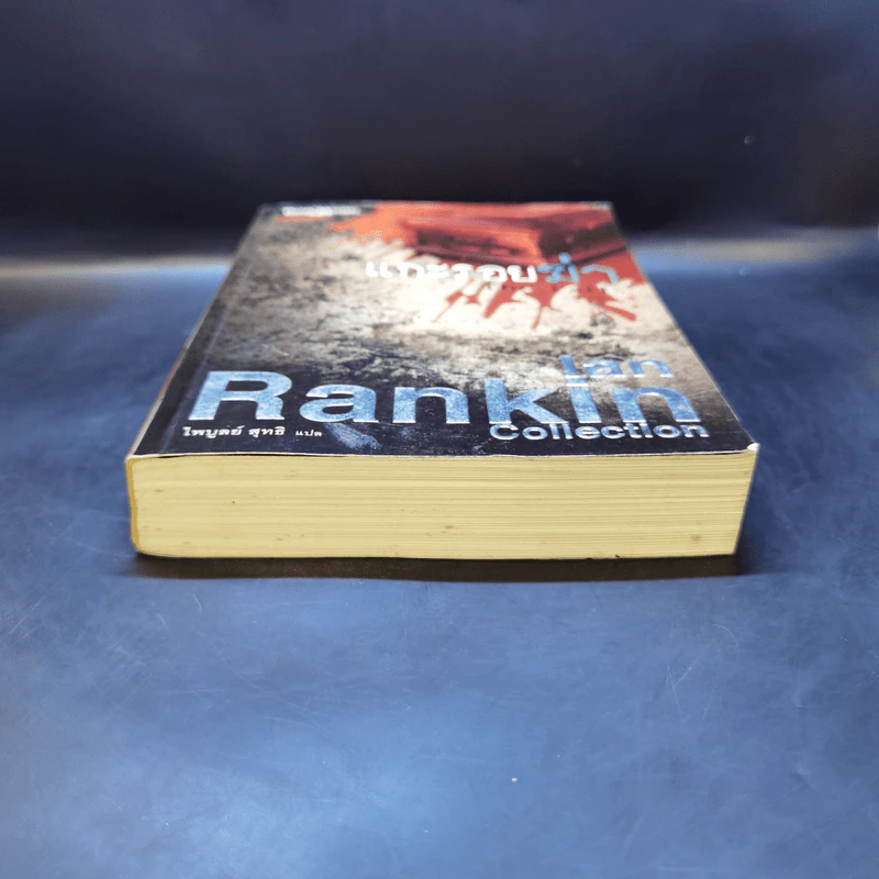แกะรอยฆ่า The Falls - Ian Rankin รูปที่ 4