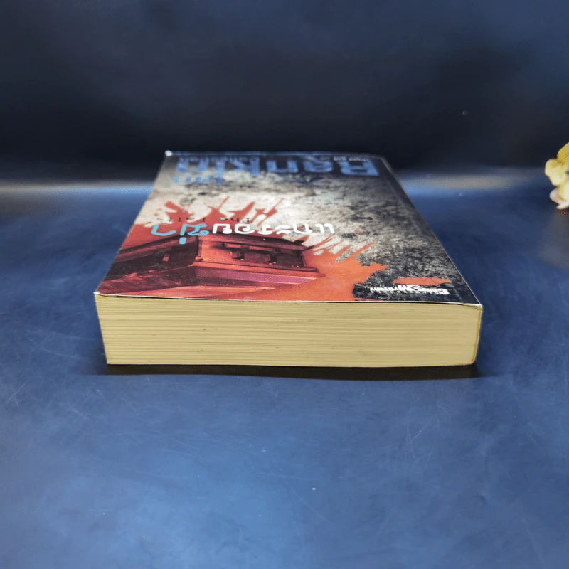 แกะรอยฆ่า The Falls - Ian Rankin รูปที่ 6