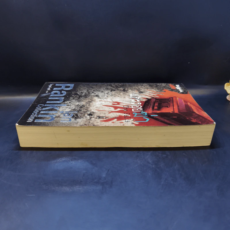 แกะรอยฆ่า The Falls - Ian Rankin รูปที่ 5