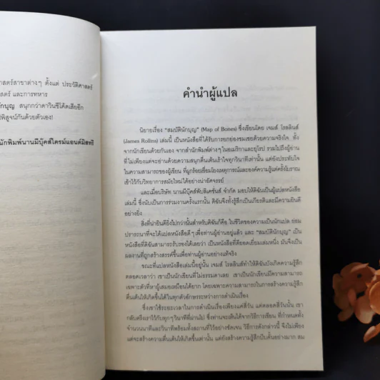 สมบัตินักบุญ Map of Bones - James Rollins รูปที่ 10