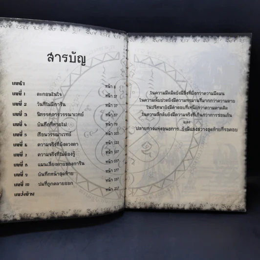 การิน ปริศนาคดีอาถรรพ์ บันทึกเขียนกรรม รูปที่ 9