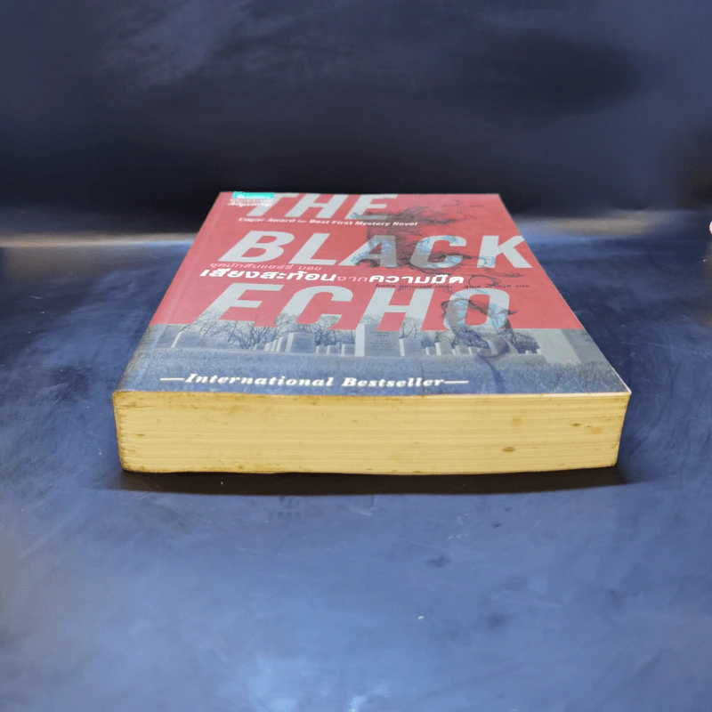The Black Echo ชุดนักสืบแฮร์รี่ บอช : เสียงสะท้อนจากความมืด - ไมเคิล คอนเนลลี่ รูปที่ 4