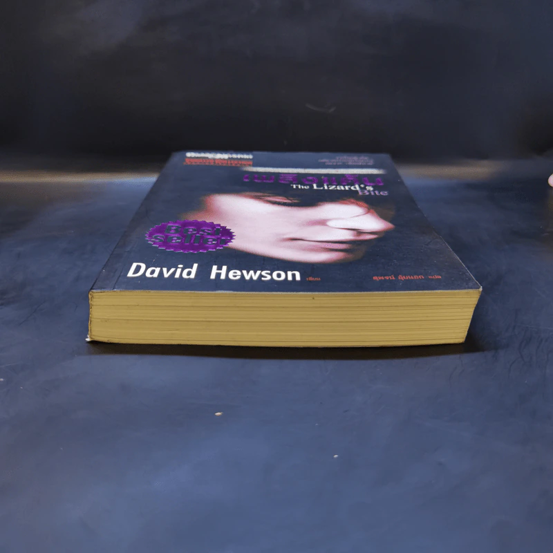 เพลิงแค้น The Lizard's Bite - David Hewson รูปที่ 4