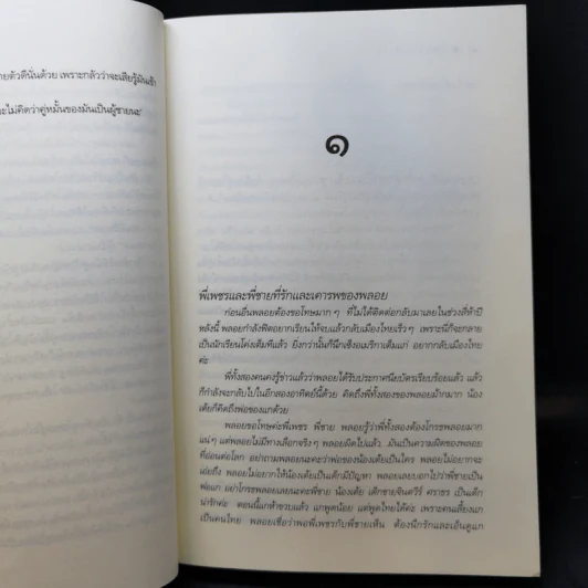 เพชรประดับใจ - แรบบิท รูปที่ 11