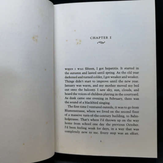 The Reader - Bernhard Schlink รูปที่ 9
