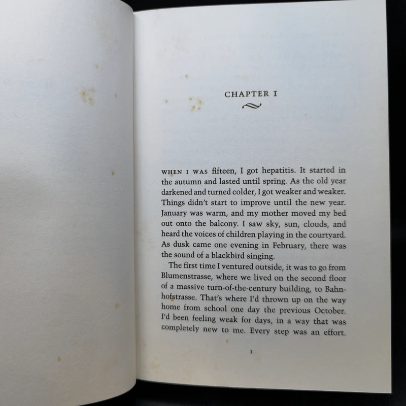 The Reader - Bernhard Schlink รูปที่ 9