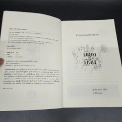 มีเธอจึงมีฉัน - สาทิศ กุมาร รูปที่ 6