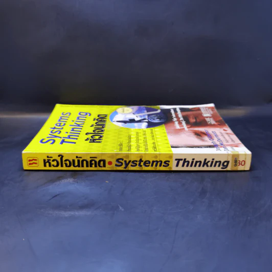 Systems Thinking หัวใจนักคิด รูปที่ 3
