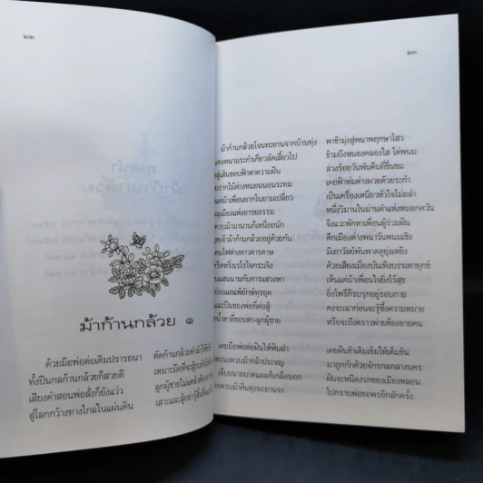 ม้าก้านกล้วย - ไพวรินทร์ ขาวงาม รูปที่ 13