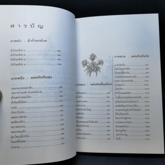 ม้าก้านกล้วย - ไพวรินทร์ ขาวงาม รูปที่ 12