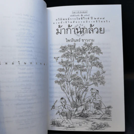ม้าก้านกล้วย - ไพวรินทร์ ขาวงาม รูปที่ 10