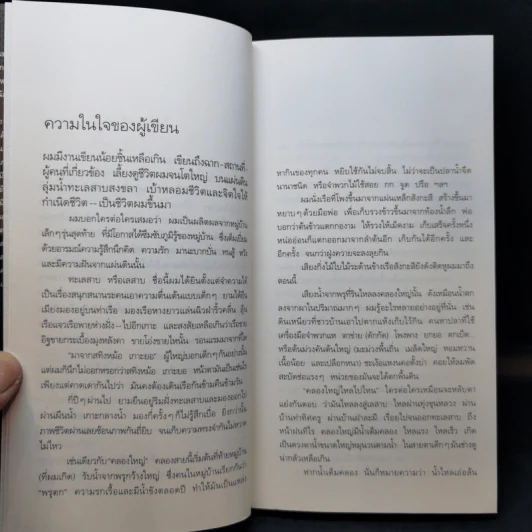 นกนางแอ่นกลางทะเลสาบ - หญ้าน้ำ ทุ่งขุนหลวง รูปที่ 10