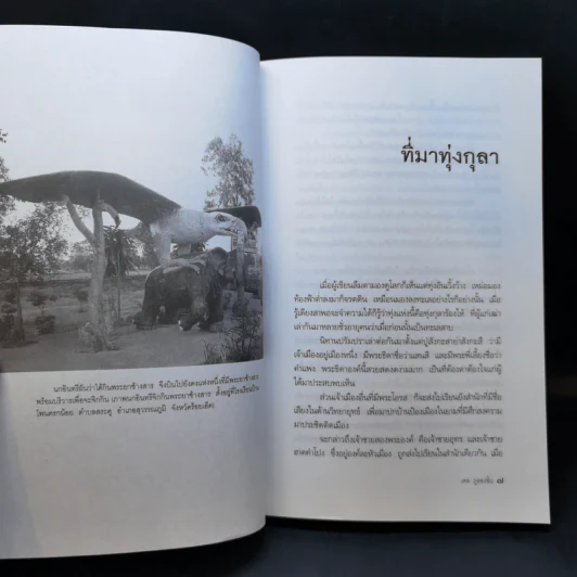 ประวัติศาสตร์สามัญชน ฅนทุ่งกุลา - เดช ภูสองชั้น รูปที่ 11