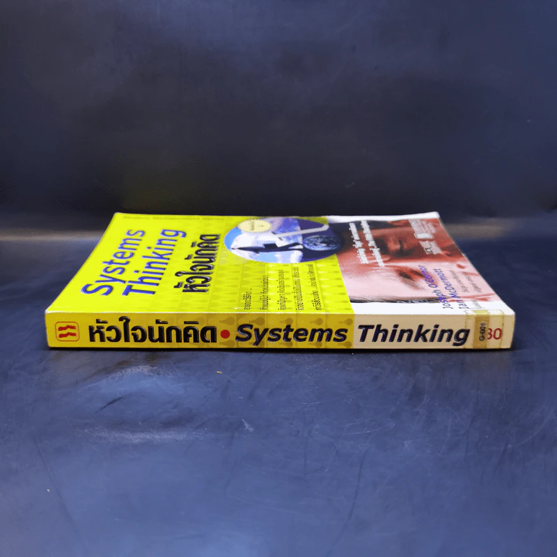 Systems Thinking หัวใจนักคิด รูปที่ 3