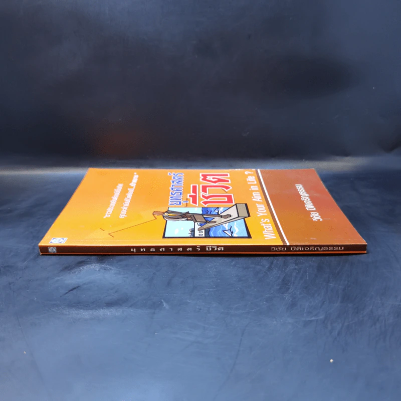 ยุทธศาสตร์ชีวิต - วิชัย ปีติเจริญธรรม รูปที่ 3