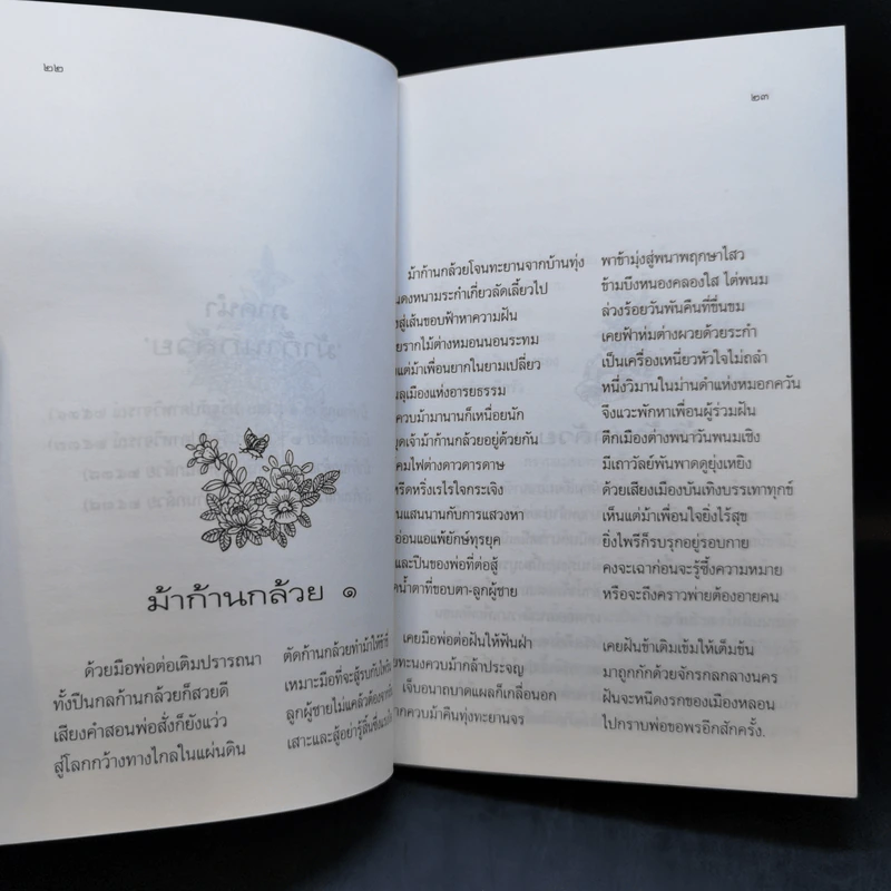 ม้าก้านกล้วย - ไพวรินทร์ ขาวงาม รูปที่ 13