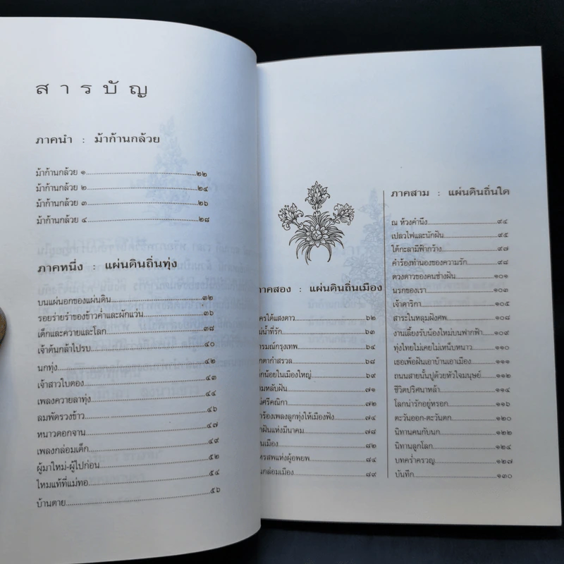 ม้าก้านกล้วย - ไพวรินทร์ ขาวงาม รูปที่ 12