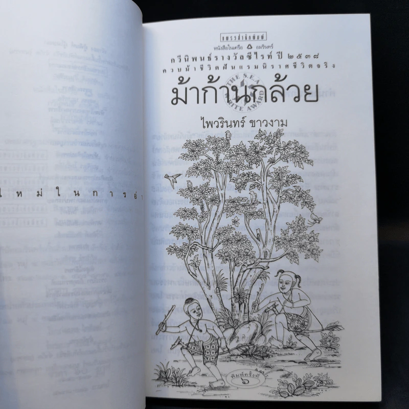 ม้าก้านกล้วย - ไพวรินทร์ ขาวงาม รูปที่ 10