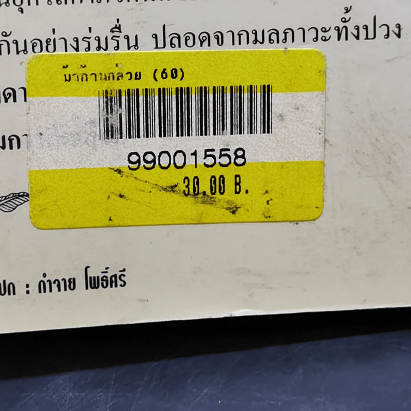 ม้าก้านกล้วย - ไพวรินทร์ ขาวงาม รูปที่ 15