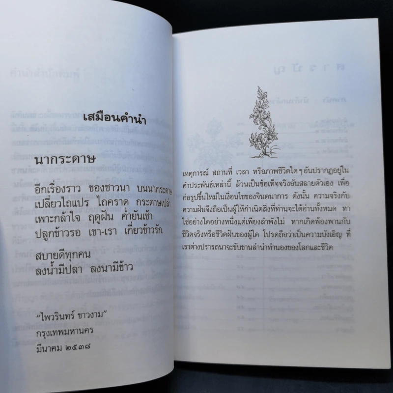 ม้าก้านกล้วย - ไพวรินทร์ ขาวงาม รูปที่ 11