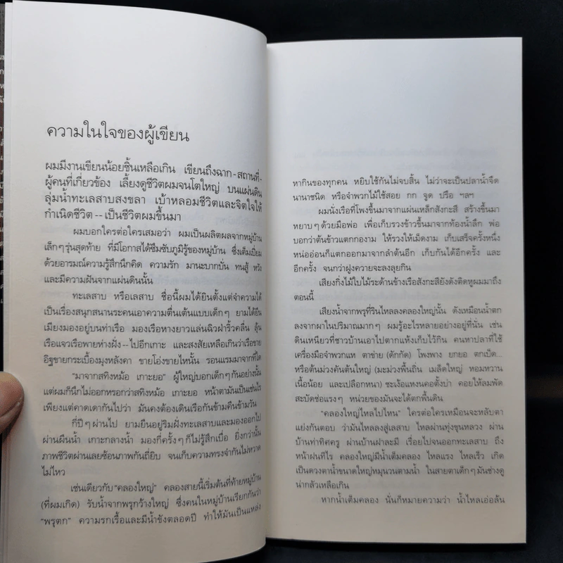 นกนางแอ่นกลางทะเลสาบ - หญ้าน้ำ ทุ่งขุนหลวง รูปที่ 10
