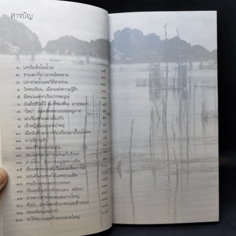 นกนางแอ่นกลางทะเลสาบ - หญ้าน้ำ ทุ่งขุนหลวง รูปที่ 11