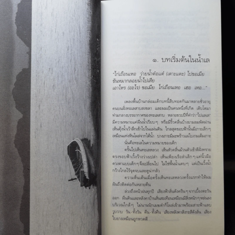 นกนางแอ่นกลางทะเลสาบ - หญ้าน้ำ ทุ่งขุนหลวง รูปที่ 12