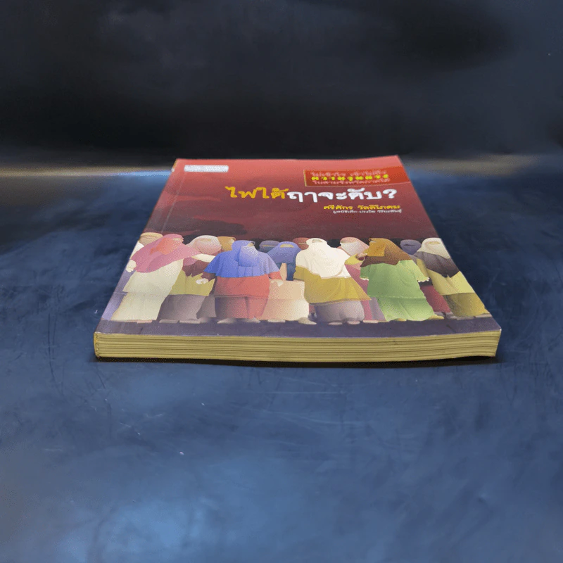 ไฟใต้ฤาจะดับ - ศรีศักร วัลลิโภดม รูปที่ 4